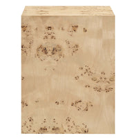 Cosmos 16" Square Burl Wood Side Table